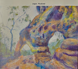 Natural Bridges Collection