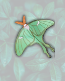Luna Moth Leather Pin