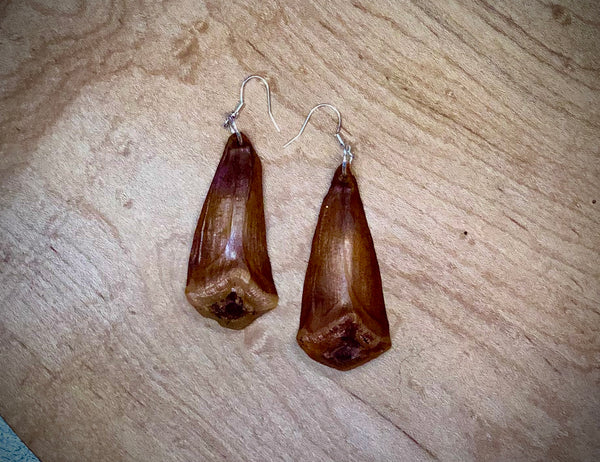 Pine Scale Earrings